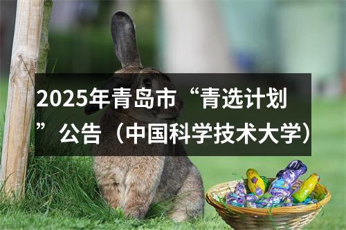 2025年青岛市“青选计划”公告（中国科学技术大学） 图片