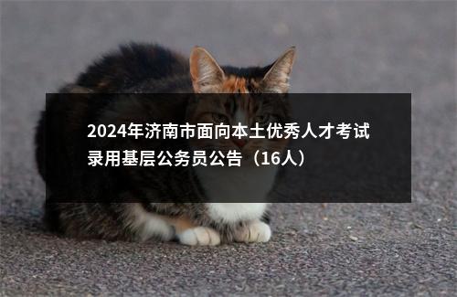 2024年济南市面向本土优秀人才考试录用基层公务员公告（16人） 图片