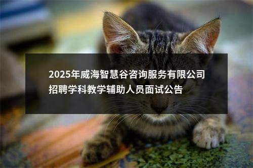 2025年威海智慧谷咨询服务有限公司招聘学科教学辅助人员面试公告 图片